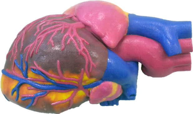 3d-printed-heart_.png