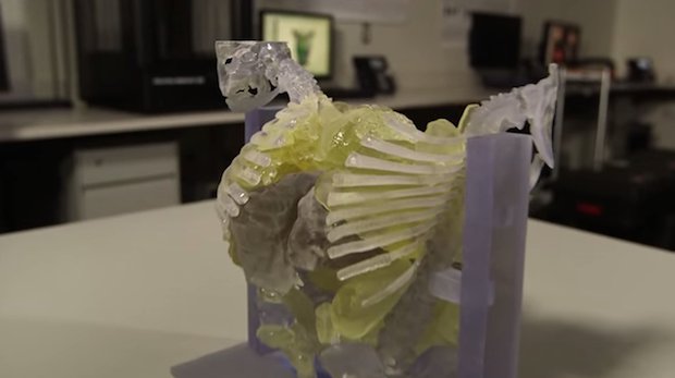 3dpheartmodel.png 3dpheartmodel.png