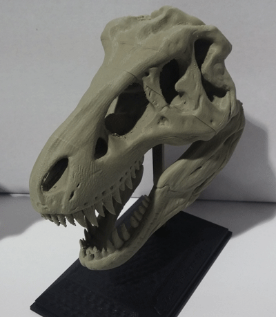 Algae T-Rex Print Algae T-Rex Print