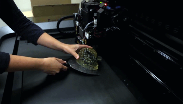 The brain printed on an Objet Connex The brain printed on an Objet Connex