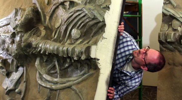 Dr-Pyenson-and-the-finished-3D-Print Dr-Pyenson-and-the-finished-3D-Print