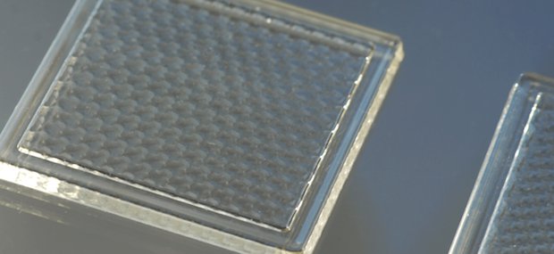 Edmund-optics1.png Edmund-optics1.png