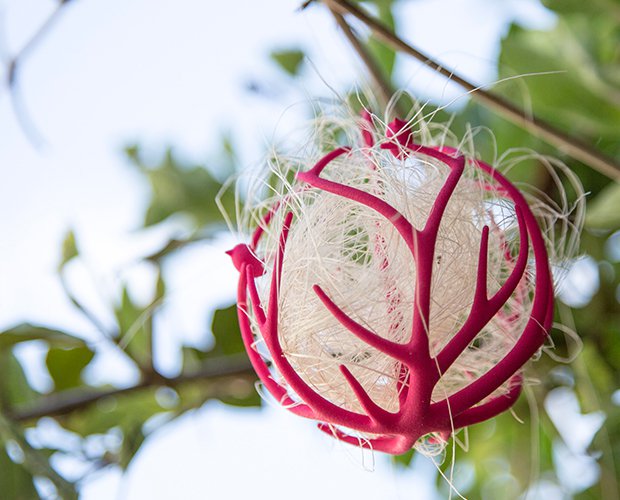 Globenest.png Globenest.png