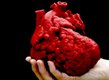 3D model of a heart 3D model of a heart