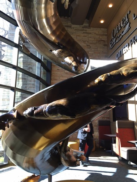 IMG_1596.JPG IMG_1596.JPG