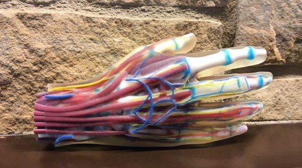 IMG_1604.JPG IMG_1604.JPG