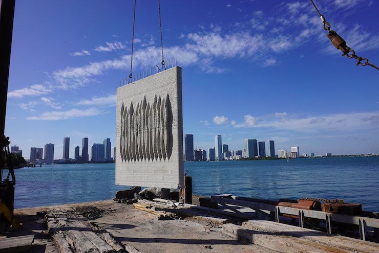 IMG_540AD8A4B34F-1.png IMG_540AD8A4B34F-1.png