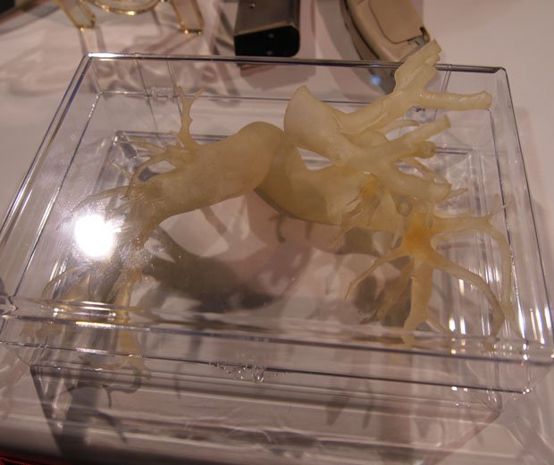 They don't stop at DMLS either they're a full service provider