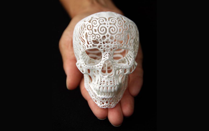 Jashua Harker Skull Print Jashua Harker Skull Print