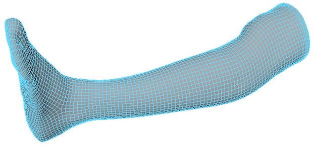 mesh_leg.jpg mesh_leg.jpg