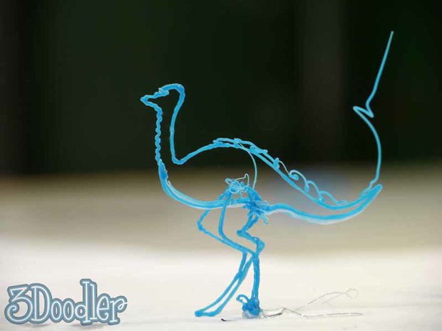 An ostrich not a velociraptor as we first thought! An ostrich not a velociraptor as we first thought!