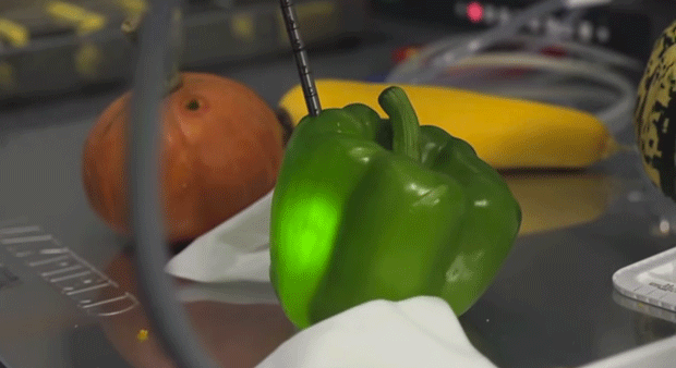 Surgeons used bell peppers for practice Surgeons used bell peppers for practice