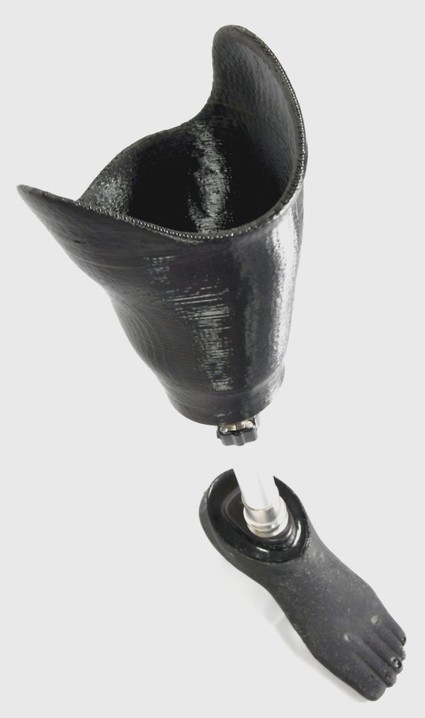 Protosthetics Amphibian Leg