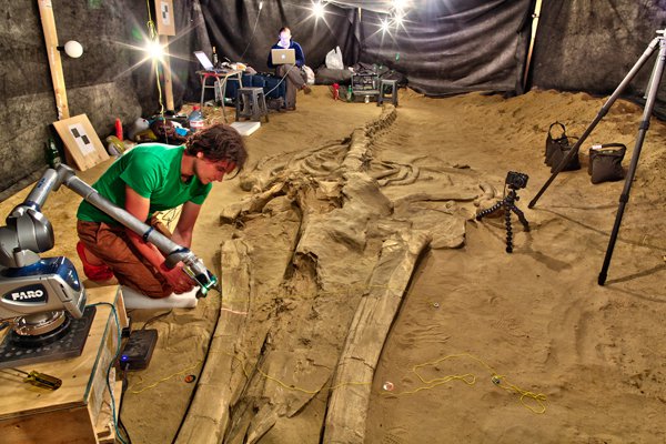 Scanning fossils Scanning fossils