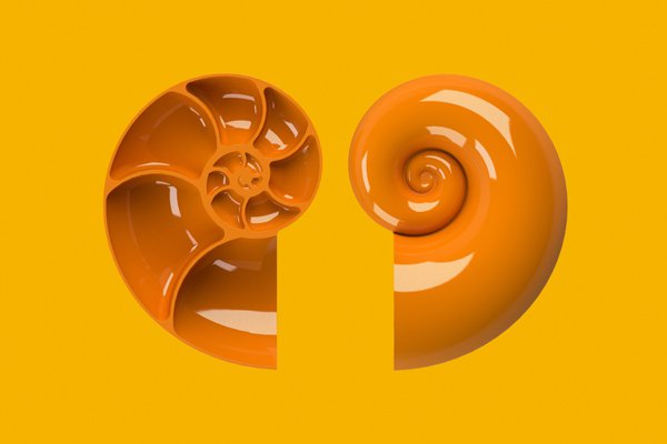 Shells RPD International