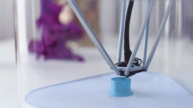 tiko-closeup.png tiko-closeup.png