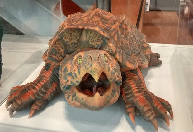 Turtle design printed on Connex Turtle design printed on Connex