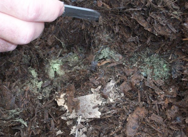 willoflex-bio.jpg willoflex-bio.jpg