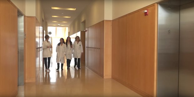 Northwestern Uni ovary research Northwestern Uni ovary research