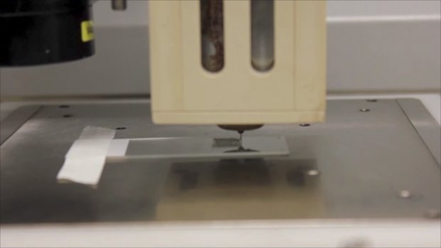 Northwester Uni research ovaries Northwester Uni research ovaries