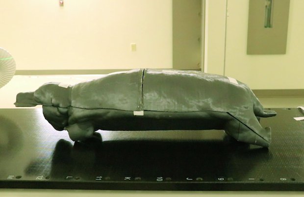 3D printed treatment shell.png 3D printed treatment shell.png