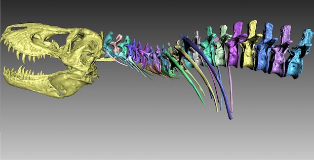 Trix T Rex Trix T Rex