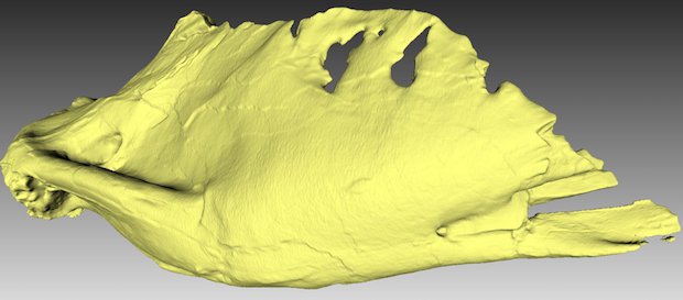 Trix T-rex Trix T-rex