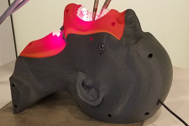 Training Platform for Transoral Robotic Surgery Training Platform for Transoral Robotic Surgery