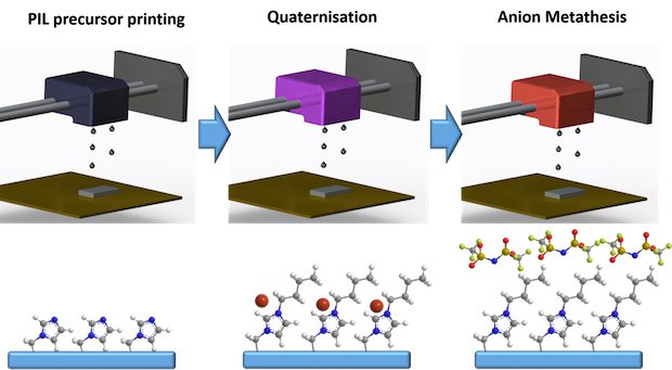 Figure3 copy.jpg Figure3 copy.jpg