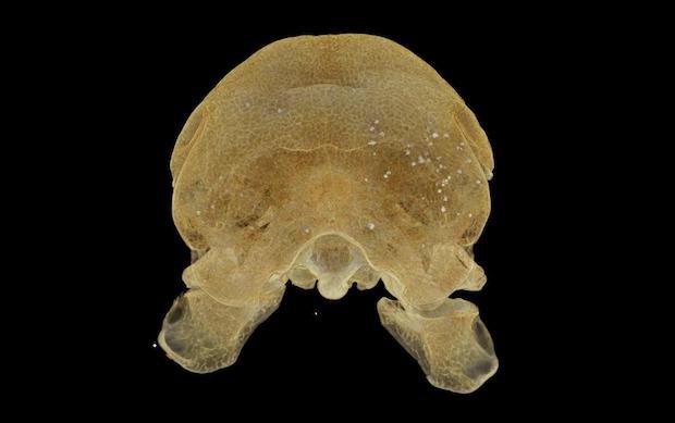 Image 1.jpg Image 1.jpg