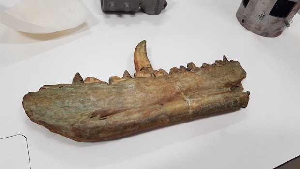 Image 4.jpg Image 4.jpg