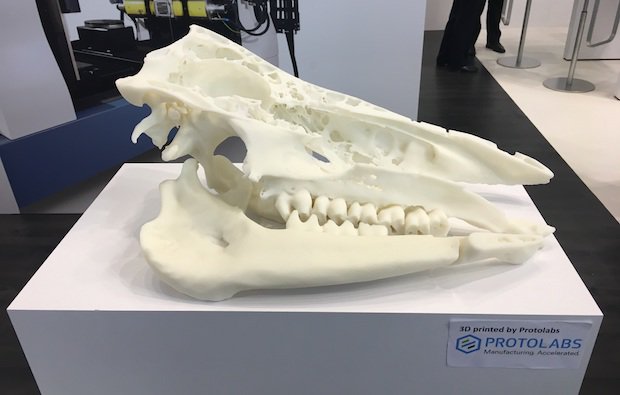 3D printed rhino skull.jpg 3D printed rhino skull.jpg