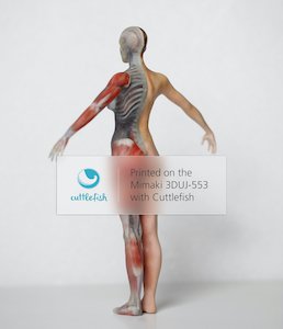 Mimaki Cuttlefish Mimaki Cuttlefish