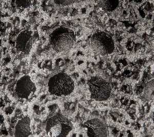 Exactech porous.jpg Exactech porous.jpg