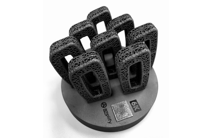 6K 3D printed spinal cages.png