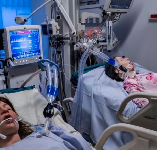 Lifecast Body Sim manikins.png Lifecast Body Sim manikins.png