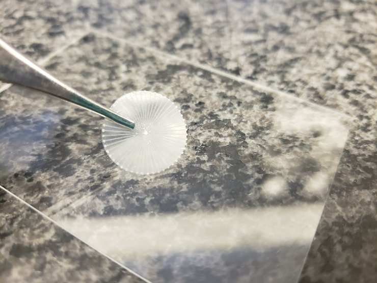 PhonoGraft - biomimetic graft that has the potential to enable high quality and long-lasting eardrum reconstruction_210622.jpg PhonoGraft - biomimetic graft that has the potential to enable high quality and long-lasting eardrum reconstruction_210622.jpg