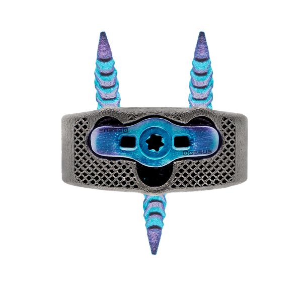 Pisces Anchor Front.png Pisces Anchor Front.png