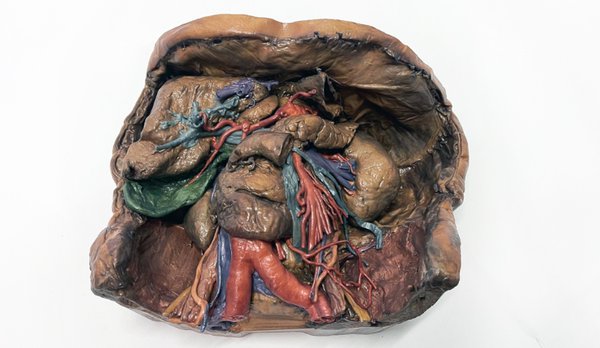 Untitled design-76.png