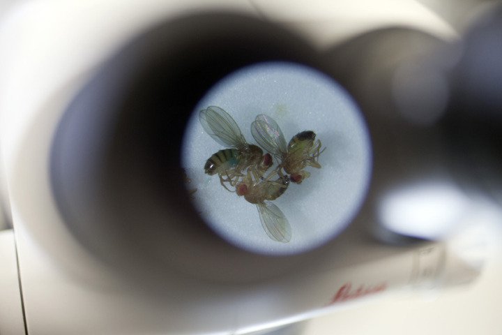 CNCB research CNCB research