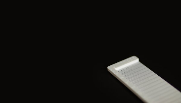 EOS_eguide_HighRes_12_bear3 (1).jpg EOS_eguide_HighRes_12_bear3 (1).jpg