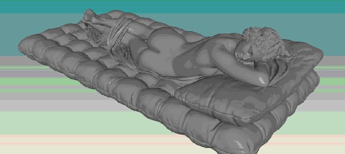 Sleeping Hermaphrodite Sleeping Hermaphrodite