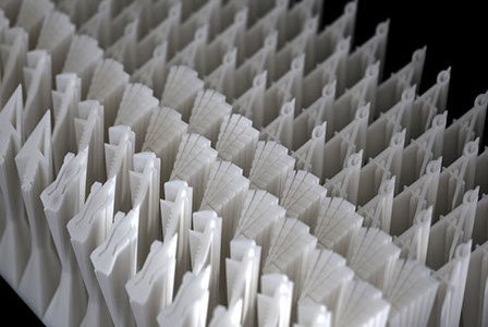 img_0800 sm-crop-u2904.jpg img_0800 sm-crop-u2904.jpg