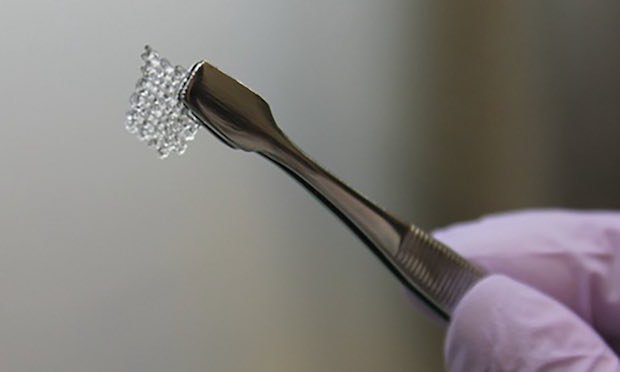 Northwestern Uni researchers 3d printed ovaries      A scientist holds a scaffold for a bio-prosthetic mouse ovary 3D printed in gelatin. - Northwestern University
