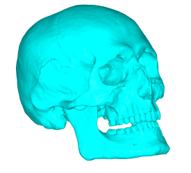 MachineWorks Polygonica software update TCT Show                The Polygonica v2.1 software will be showcased, demonstrated and the focus of David Turner's presentation on the TCT Product...