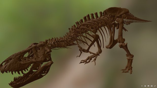 Trix T Rex scan case study      The 3D model of Trix on Sketchfab - 4Visualization/ Sketchfab