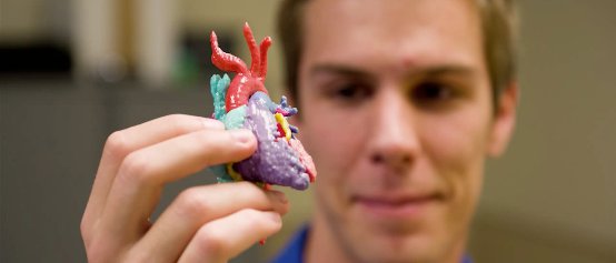 Phoenix heart model by 3d printing