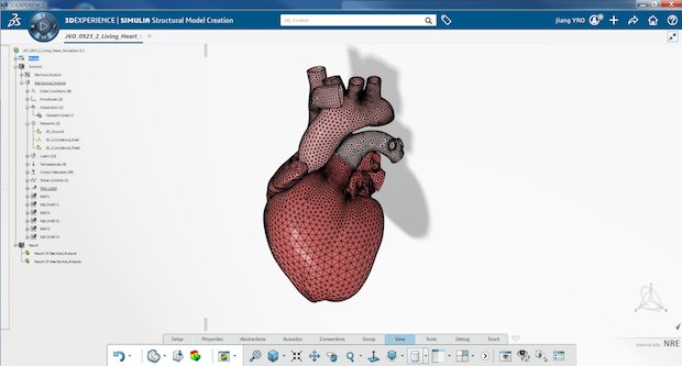 Dassault Systèmes' Living Heart Project