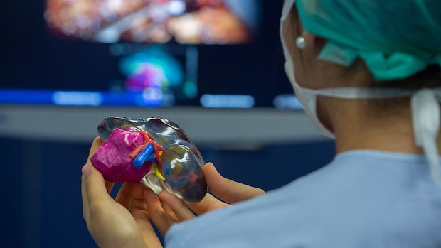 Transparent, full-colour 3D printed model. Stratasys Bordeaux      Transparent, full-colour 3D printed model. - Stratasys