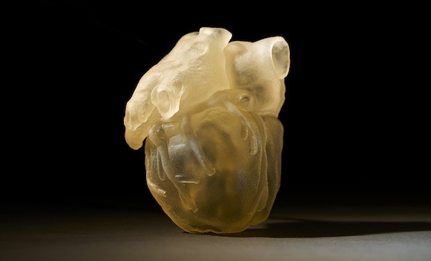 3D printed heart model produced on the new J750 Digital Anatomy 3D Printer